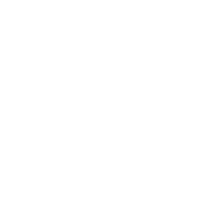 Pricing icon